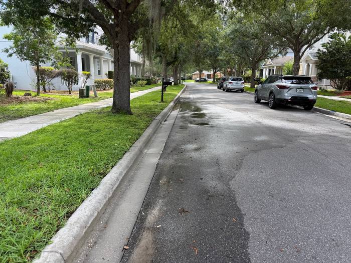 Curb and gutter line after cleaning on an oak-shaded residential street, Central Florida