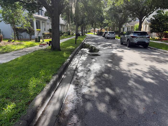 Curb and gutter line before cleaning, darkened with road film and organic growth under mature oaks, Central Florida