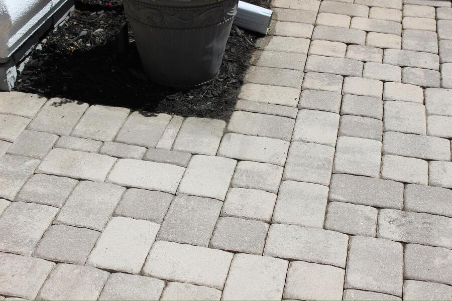 Brick paver driveway before cleaning, grey algae film dulling the paver faces, Windermere FL